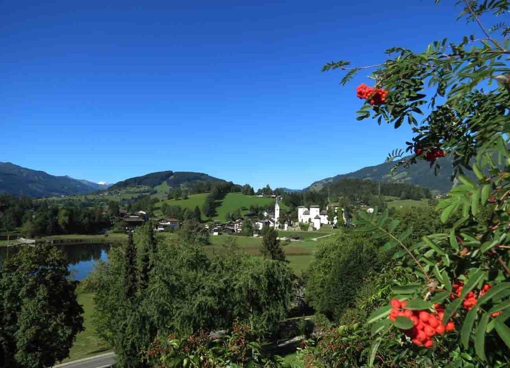Bio-Bauernhof Reitmayrgut Goldegg Exterior photo